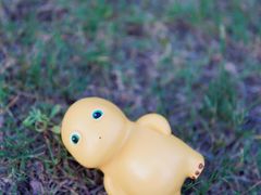 -宁波儿童公园(鄞州区)