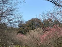 -杭州植物园