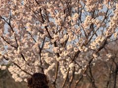 -幕燕滨江·长江观音景区
