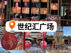 -上海世纪汇广场