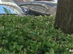 -晓芹海参(望京西园店)
