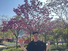 -南国桃园旅游度假区