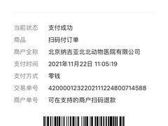 -纳吉亚猫专科动物医院·北北分院