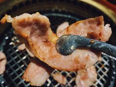 -肉魁屋·烧肉·烧鸟·酒场(高新店)