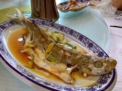 清蒸白水鱼-洞天食府(北大街店)