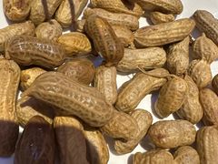 -金刚山烧烤(红旗大街店)