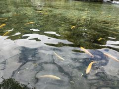 -丽江玉水寨
