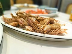 -金海湾海鲜排档(朱家尖店)