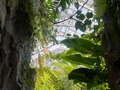 -国家植物园南园