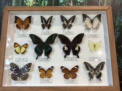 -昆明动物园