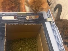 -新荟城(望京店)