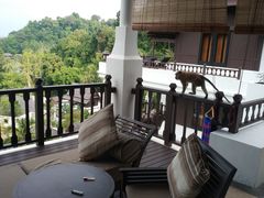 -绿中海度假村