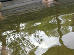 -咸宁万豪温泉谷度假区