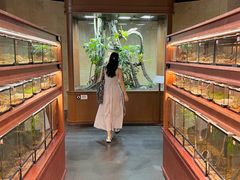 -帕帕拉兹宠物(亚洲旗舰店)