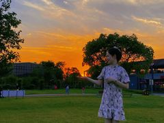 -瑶湖郊野森林公园