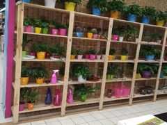 -中百仓储(新洲购物广场店)