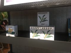 -Seesaw Coffee(环贸iapm店)