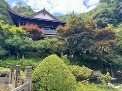 -十八棵（老龙井）御茶园(老龙井店)