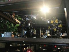 酷炫的变形金刚-探鱼·鲜青椒爽麻烤鱼(广州欣荣广场店)