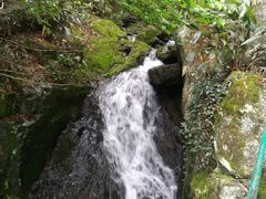 -藏龙百瀑风景区