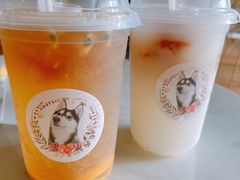 -Husky Go! 哈士奇体验馆·宠物咖啡厅狗咖