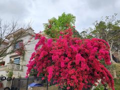 -巅峰减重高端减肥训练营(惠州店)