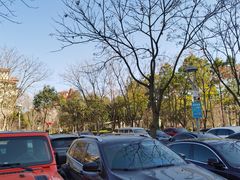 -青林湾公园-东停车场