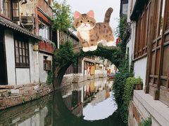 -周庄古镇景区-双桥