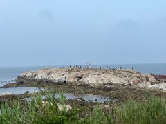 -养马岛旅游度假区