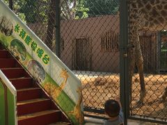 -荆州中山公园动物园