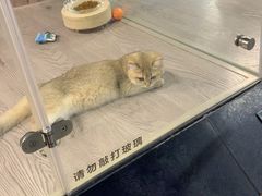 -宠物世家(仲盛世界商城店)