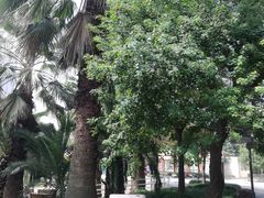 -苏州河梦清园环保主题公园