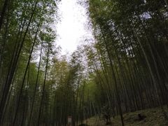 -广州市石门国家森林公园