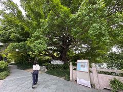 -三垟湿地