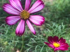 -洪湖生态旅游区