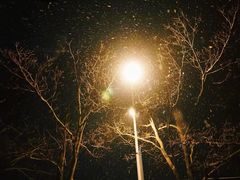 -北门涮肉·炭火铜锅涮肉(什刹海店)