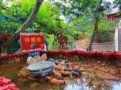 -西霞口神雕山野生动物世界