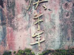 -都江堰普照寺