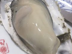 -蚝专家(北滘店)