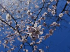 -滨河世纪广场公园