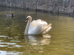 -合肥野生动物园