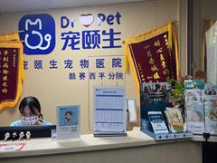 -宠颐生猫科·内科皮肤科(西平世纪城店)