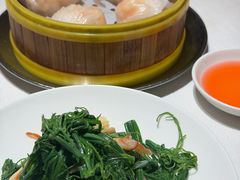 北极贝拌芸豆丝-香港龙凤楼(巨鹿路洋房店)
