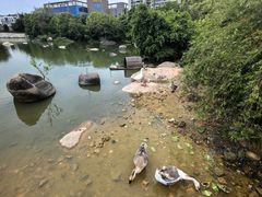 -厦门悦华酒店