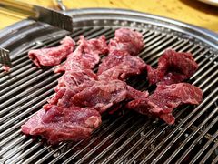 -喜来稀肉(望京店)