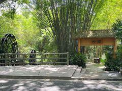 -大屏嶂森林公园