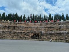 -贵州森林野生动物园