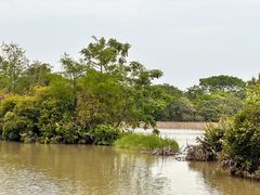 -大湾区中央湿地公园