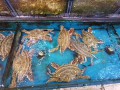 -小铜锣湾海鲜家常菜馆(河西店)