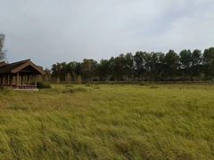 -塞罕坝国家级自然保护区